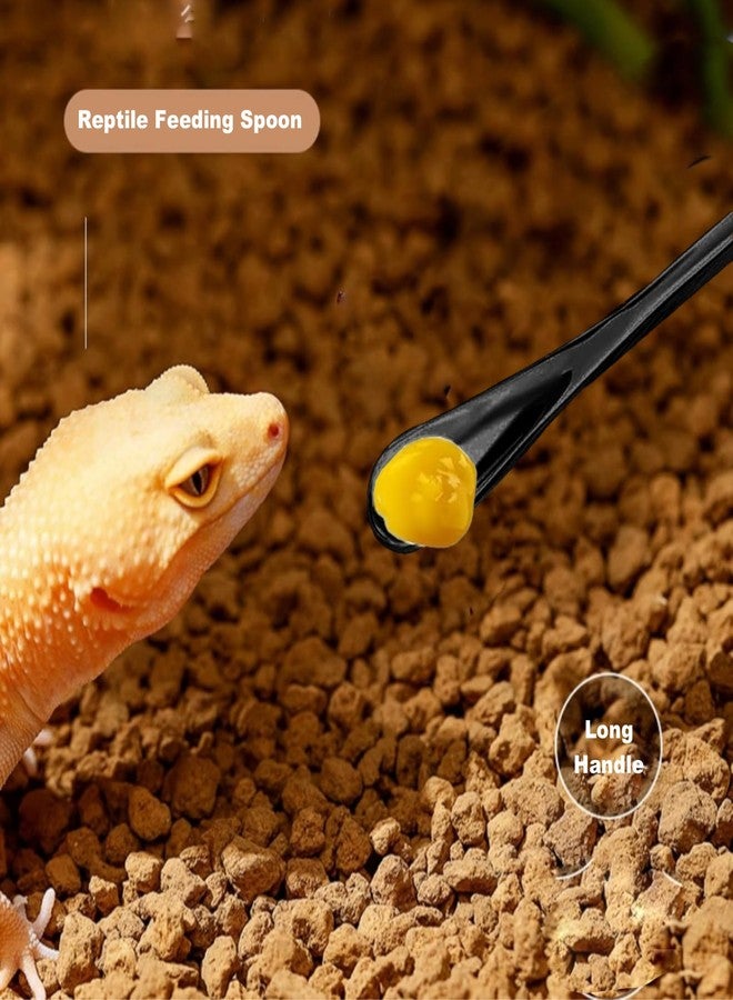 GCFTIFF Reptile Long Handle Feeding Tools,2Pcs Extra Long Stainless Steel Reptile Feeding Tongs with Rubber Tip, 1Pcs Reptile Feeding Spoon, 1Pcs Plastic Reptile Feeding clamp,Terrarium Feeder Tool - Image 5